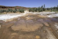 a large puddle in the middle of a dirt road in the desert, with green bushes behind it