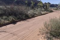 an empty road with dirt and weeds along it in desert area with sun shining on it