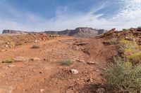 an open desert road with a mountainside in the distance and some shrubs on each side