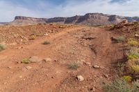 an open desert road with a mountainside in the distance and some shrubs on each side