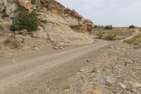 Desert Road in Utah: Sand and Vegetation