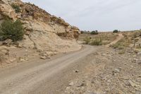 Desert Road in Utah with Sand and Vegetation