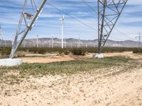 Desert Roads of Mojave
