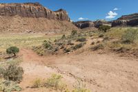 a person walks through a grassy, rocky landscape near the canyons of red cliffs