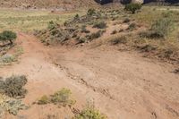 a person walks through a grassy, rocky landscape near the canyons of red cliffs