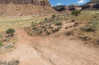 a person walks through a grassy, rocky landscape near the canyons of red cliffs