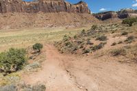 a person walks through a grassy, rocky landscape near the canyons of red cliffs