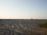 Desert: Sand Dunes under Clear Sky