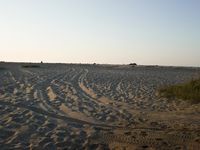 Desert: Sand Dunes under Clear Sky