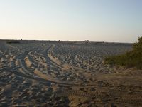 Desert: Sand Dunes under Clear Sky