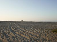 Desert: Sand Dunes under Clear Sky