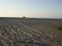 Desert: Sand Dunes under Clear Sky