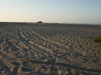 Desert: Sand Dunes under Clear Sky