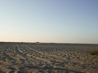 Desert: Sand Dunes under Clear Sky