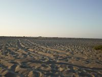 Desert: Sand Dunes under Clear Sky