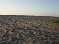 Desert: Sand Dunes under Clear Sky