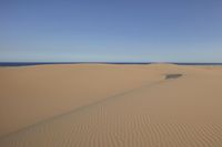 a person walking in the desert on the beach with an umbrella over their head and a blue ocean in the distance