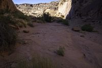 dirt and grass grow in the middle of a gorge between mountains with clear sky above