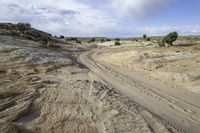 the trail follows a curve in the desert with trees in the background, and sand, as seen from an aerial perspective