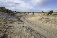 the trail follows a curve in the desert with trees in the background, and sand, as seen from an aerial perspective