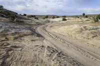 the trail follows a curve in the desert with trees in the background, and sand, as seen from an aerial perspective