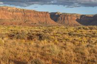 an empty field with rocky terrain near a desert area of brown grass, yellow weeds and brown sky