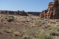 a rocky desert landscape with sparse grass, rocks and bushes in the background on an open plain