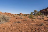 red rocks, scrub, and shrub near trees in a barren area with clear sky