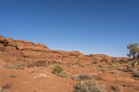red rocks, scrub, and shrub near trees in a barren area with clear sky