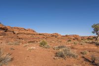 red rocks, scrub, and shrub near trees in a barren area with clear sky