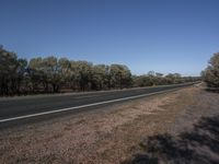 the asphalt road is deserted in this country area with a few trees on it and no grass