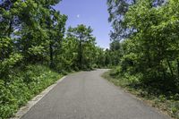 a deserted asphalt road surrounded by tall trees with an oval green sign and red stop sign on each side