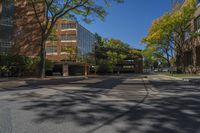 a deserted intersection near the buildings of a large city park in autumn, with a blue sky overhead