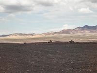 a lone horse sits in the middle of nowhere in the desert area with hills and sparse sky