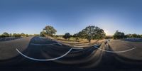 a camera angle view on a deserted road near trees, with trees and other trees surrounding