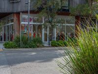 a person is riding a bike past some shops that are closed out and trees have grown in front of the shops