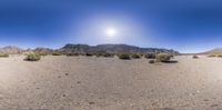 the panorama lens is showing several deserts in a desert setting under a clear blue sky