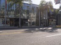 a palm tree and shops along the street in downtown los angeles, california, united