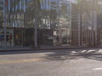 a palm tree and shops along the street in downtown los angeles, california, united