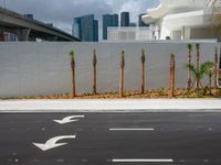 two white arrows on the road with the city skyline behind it in miami, florida