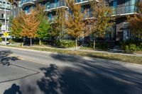 trees along the side of a street next to buildings, with a man on a bike