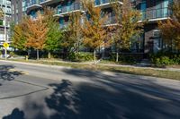 trees along the side of a street next to buildings, with a man on a bike