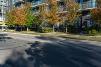 trees along the side of a street next to buildings, with a man on a bike