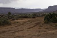 Desolate Landscape with Vegetation and Bedrock