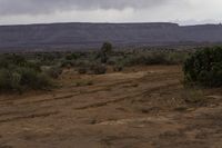 Desolate Landscape with Vegetation and Bedrock