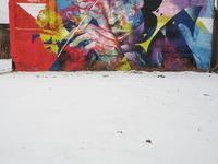 Detroit Art District: Graffiti Murals 001