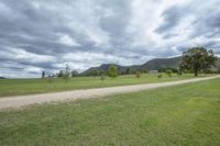 the dirt path leading to a large grassy field with trees on both sides and clouds in the distance