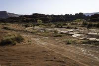 a dirt path and a rock outcropping near a desert area with grass