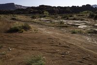 a dirt path and a rock outcropping near a desert area with grass