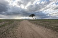 a dirt road with two trees on the side under dark clouds and rain approaching a lone, grassy field